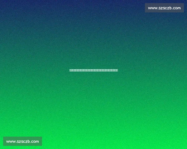 回望零五零六赛季尤文图斯阵容巅峰与风云变幻传奇欧洲豪门荣耀岁月